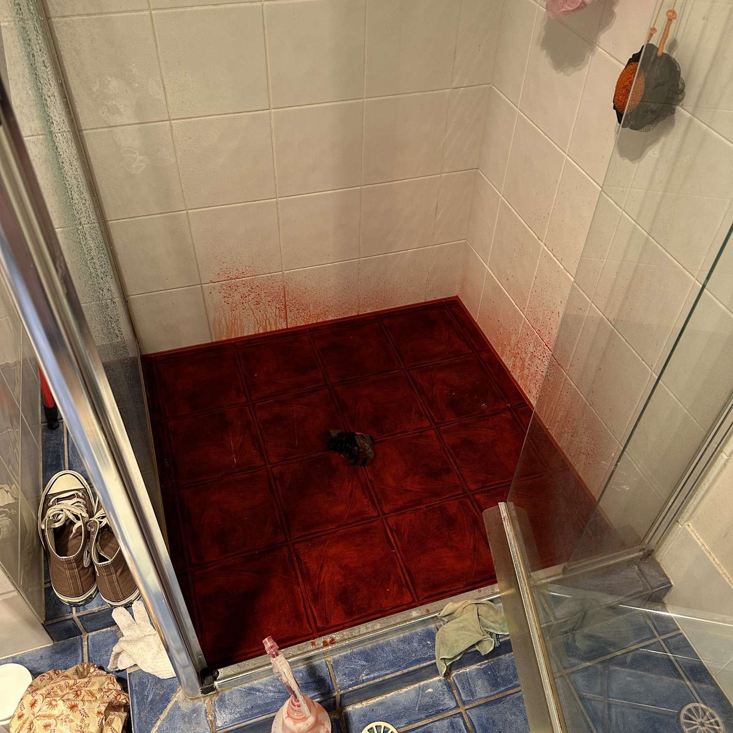 Shower Dye Testing