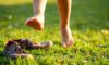Barefoot Footwear: The Orthopedic Benefits for Children