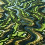 Bellville Golf Club: Your Ultimate Golfing Destination