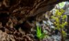 Belizean Caves: Exploring Climate, Archaeology, and Biodiversity