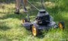 Grass Cutting Services in Montacute: Tips and Choices