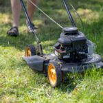 Grass Cutting Services in Montacute: Tips and Choices
