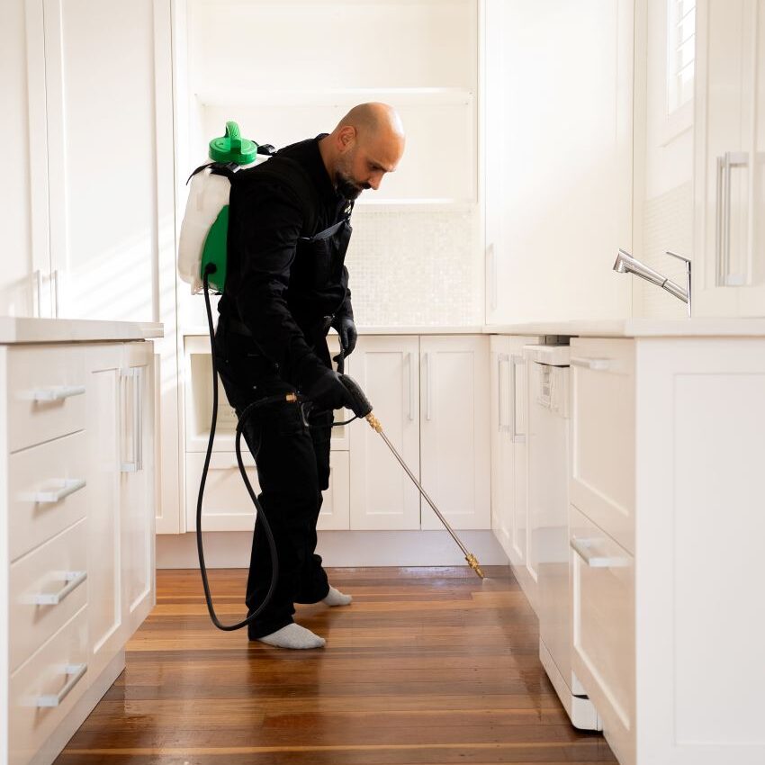DIY Pest Control: Why Store-Bought Sprays Underperform Against Professionals