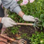 Weeding Services: Expert Providers and Tips in Queen Camel