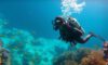 Diving Tips and Guide for the Big Blue Hole in Belize