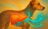 Liver Health Monitoring Tips for Your Dog’s Care