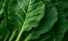 Collard Greens Recipe: A Nutritious Slow-Cooked Meal