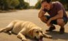 Pet Heat Exhaustion Treatment: Essential Recovery Tips