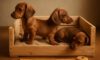 Puppy Comfort: Essential Crate Setup Tips for Your Dog