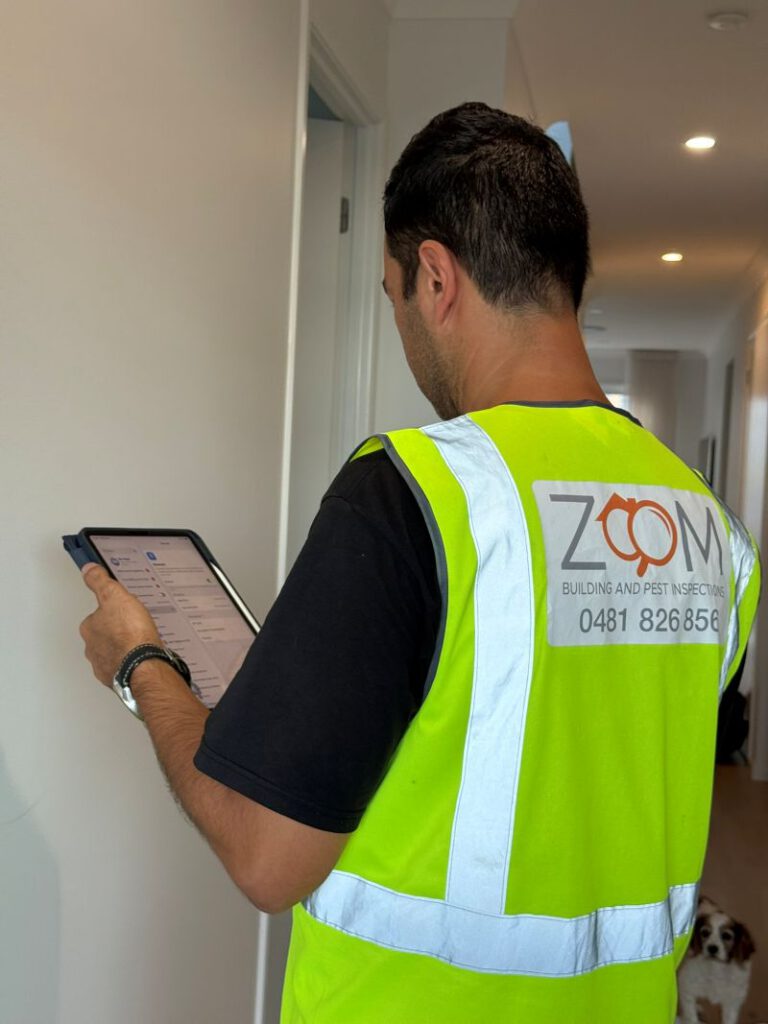 Building and Pest Inspection Guide for Brisbane Homes